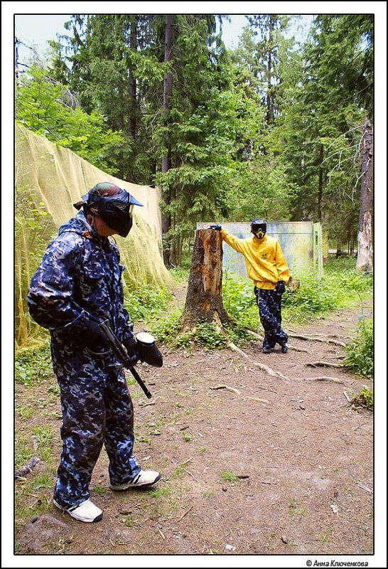 Заяц-волкphoto preview