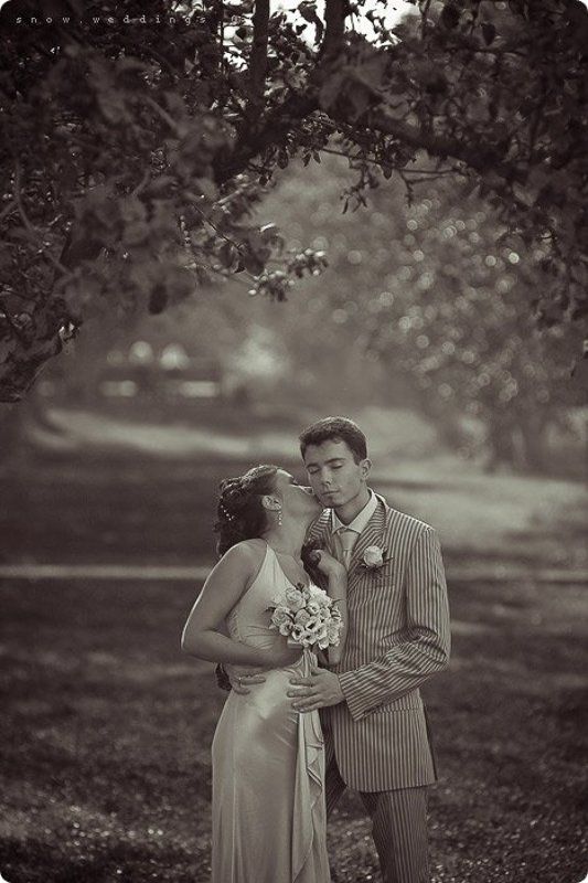 .anatomy of kiss p3photo preview