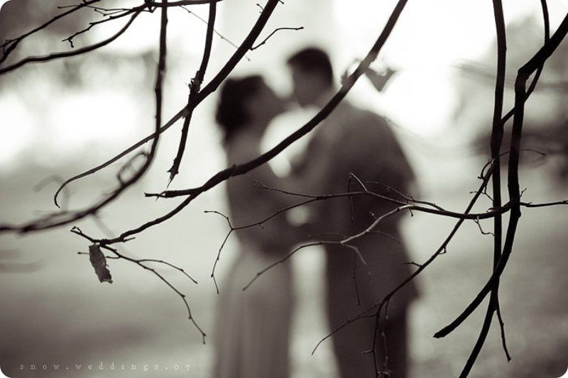 .anatomy of kiss p4photo preview