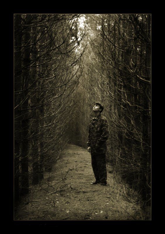 мертвый лес, человек мертвый лесphoto preview