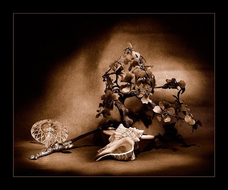 световая кисть, натюрморт, сепия ***photo preview