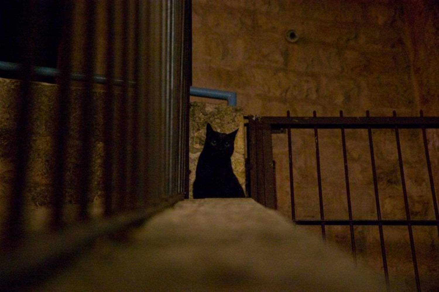 О любопытстве. Автор: IgalSc igalsc, genre, raw, IgalSc