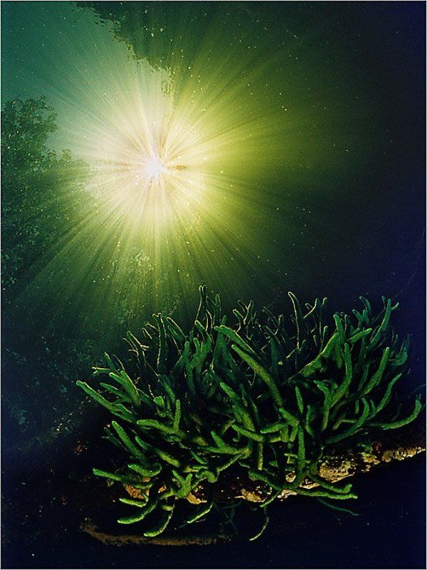 Лучиphoto preview