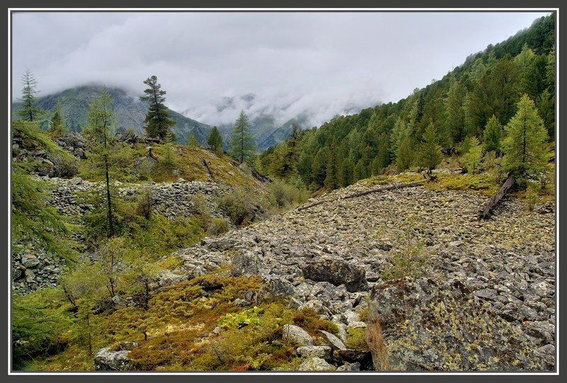 алтай , горы Новогодняя ностальгияphoto preview