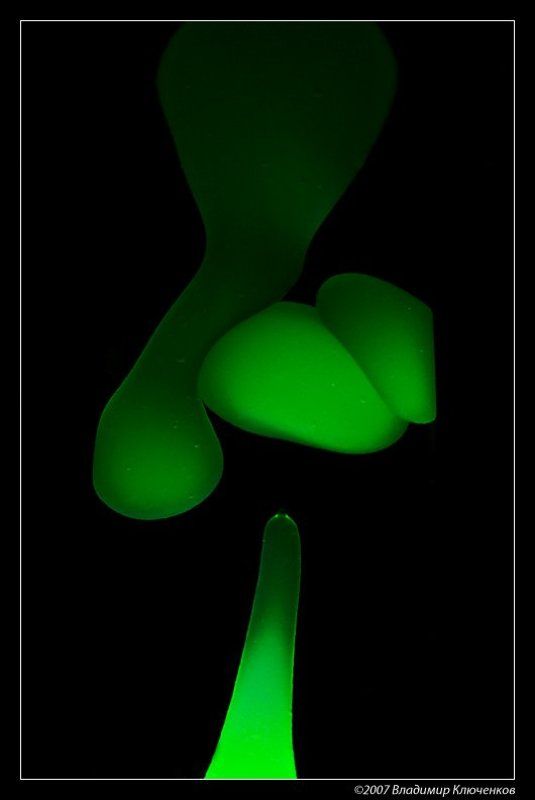 Процессphoto preview