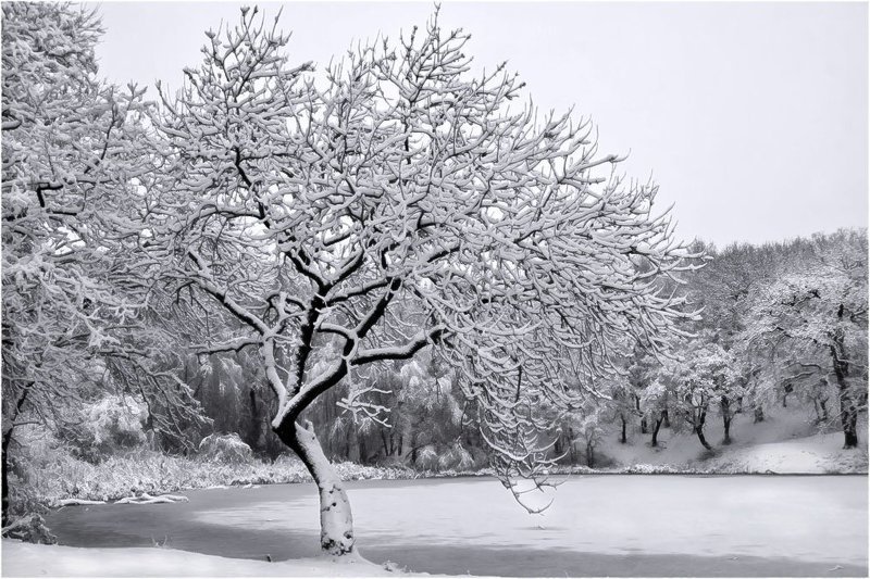 Зимний прудphoto preview