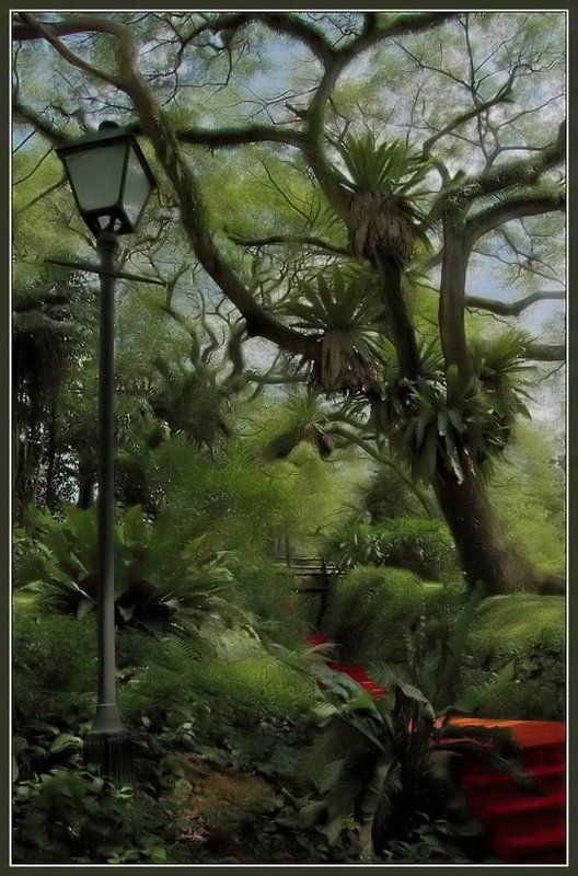 сингапур, fort canning park, сказка Тропинка в сказку.photo preview