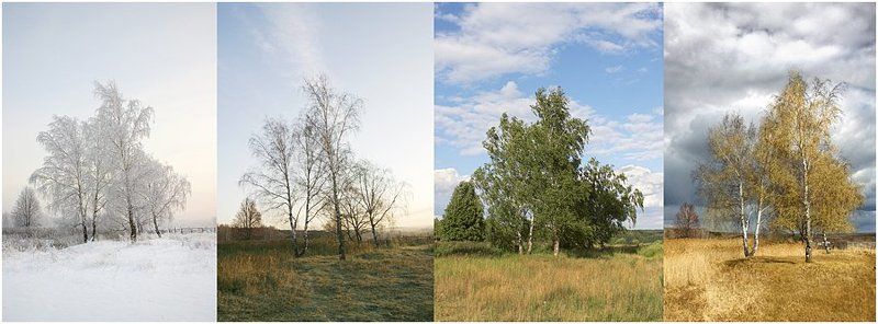 Четыре времени года - четыре состояния душиphoto preview