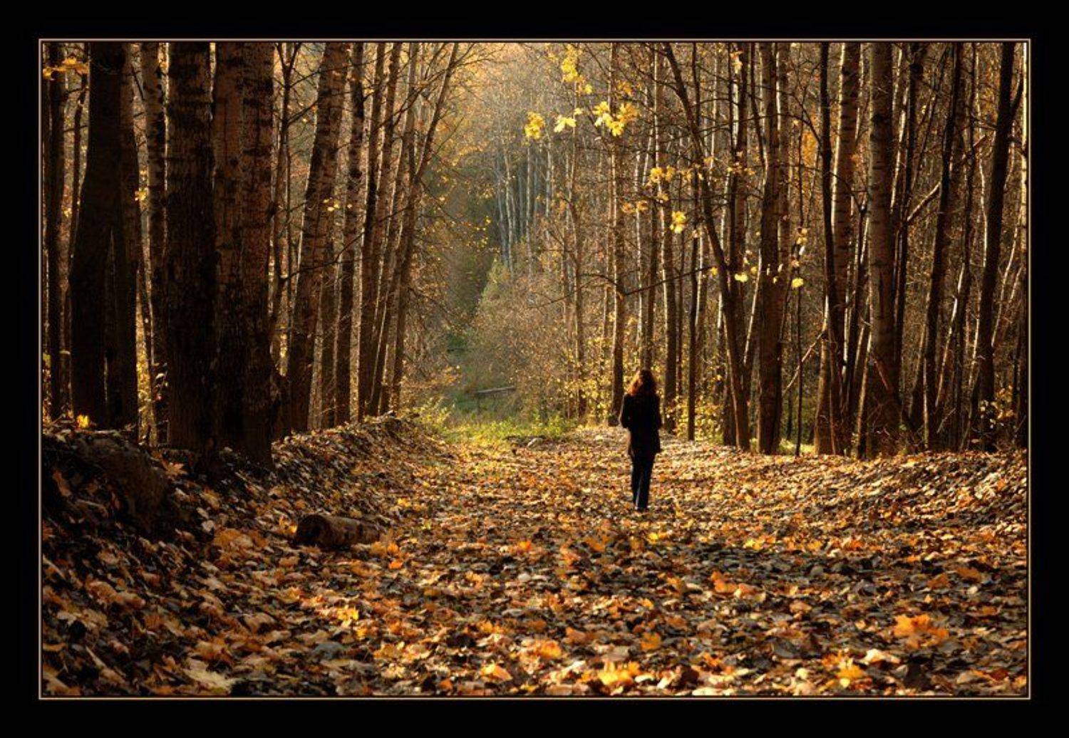 осеннее настроение2. Автор: Сергей Дужников девушка, осень, Сергей Дужников
