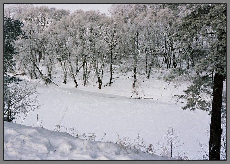 Зимние картинкиphoto preview