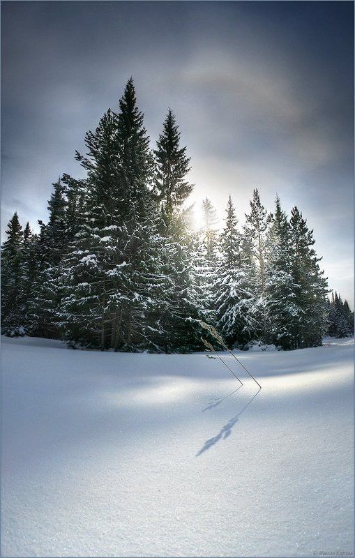 весна, зима Весенний светphoto preview