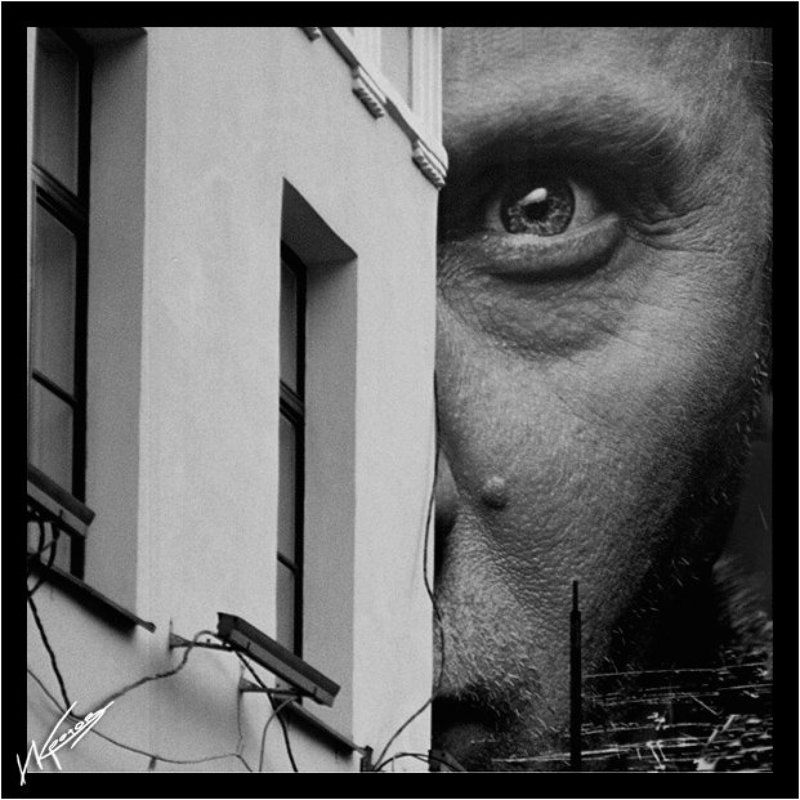 большой папа следит photo preview