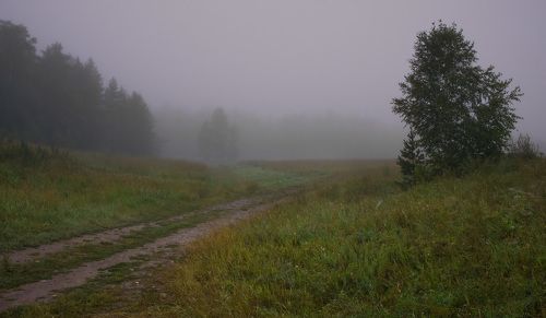Первые признаки осени