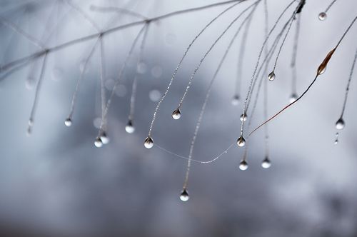 Fragility
