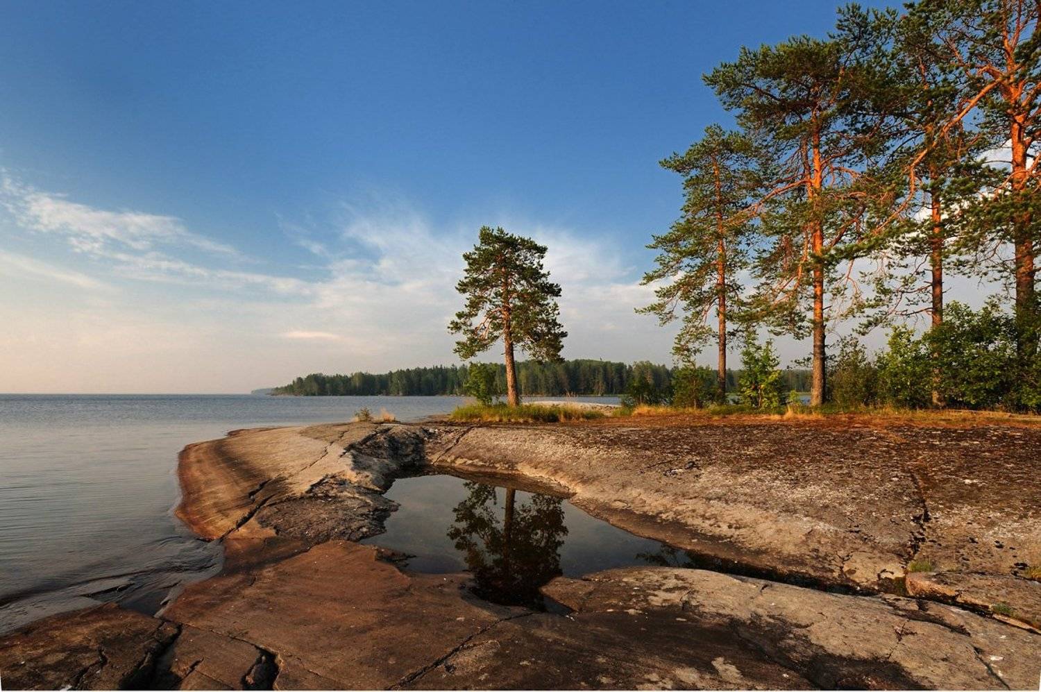 онежское озеро, оровнаволок, сосна, скалы, Сергей Седов