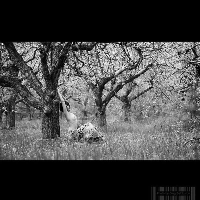 фотограф, белокуров, олег, воронеж, ню photo preview