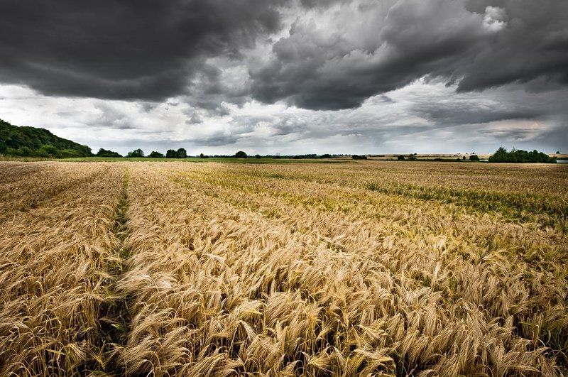 небо ,тучи, поле, буря photo preview