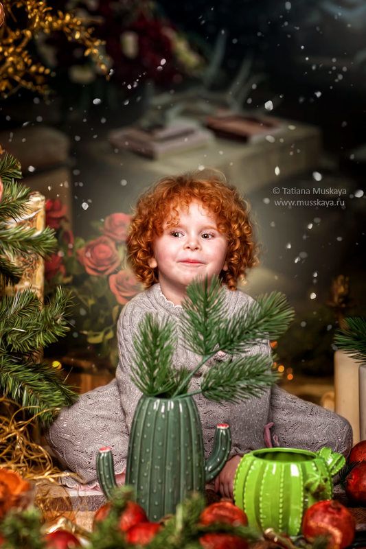 новогодняя фотосессия photo preview