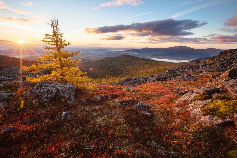 Урал, Северный Урал, Конжак, Серебянский камень Сказ природы о Северном Урале.photo preview