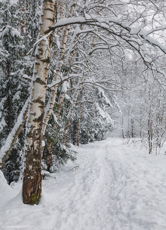 Зима photo preview