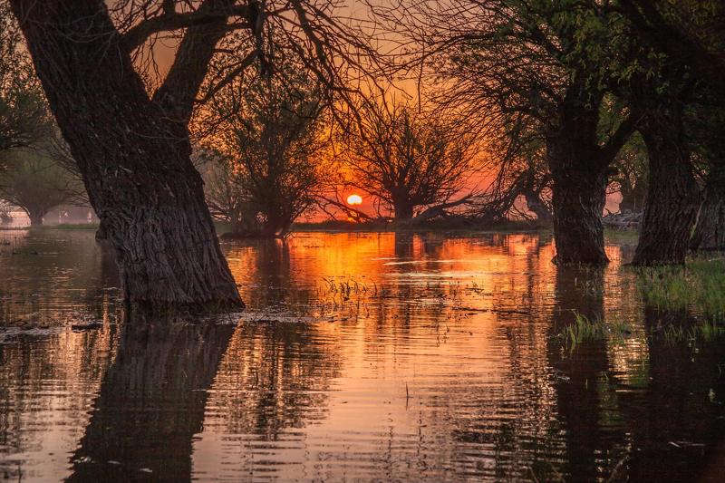 места, нереста, рыбы РАННЕЕ УТРО (половодье весна)photo preview