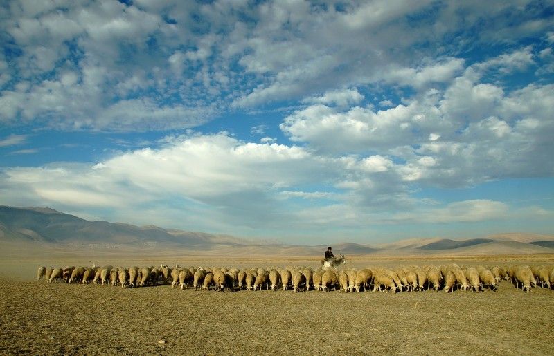 Eber lake Eber Lakephoto preview