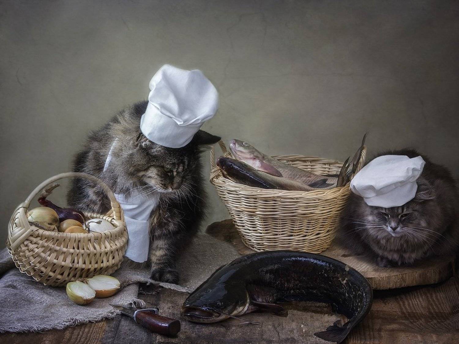 домашние животные, кошки, кот Мейсон, кошка Масяня, рыбный натюрморт, сом, корзина рыбы, Ирина Приходько