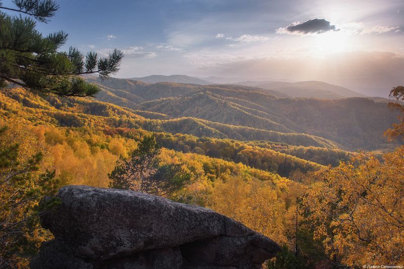 пейзаж, осень, лес, свет, солнце, желтый, алтай Чергинскийphoto preview