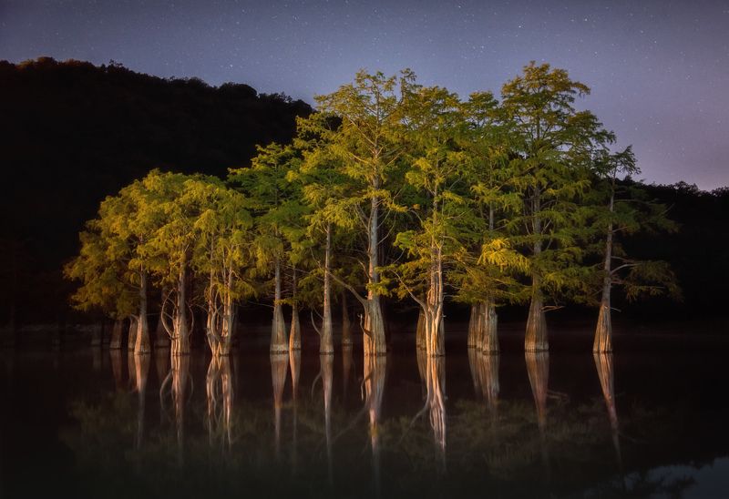 кипарис, ночь Ночь над Кипарисовым озеромphoto preview