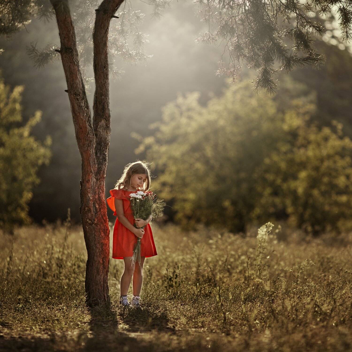 На едине. Автор: Щепин Сергей свет, девочка, дети в кадре, дерево, красный, ребенок в кадре, Щепин Сергей