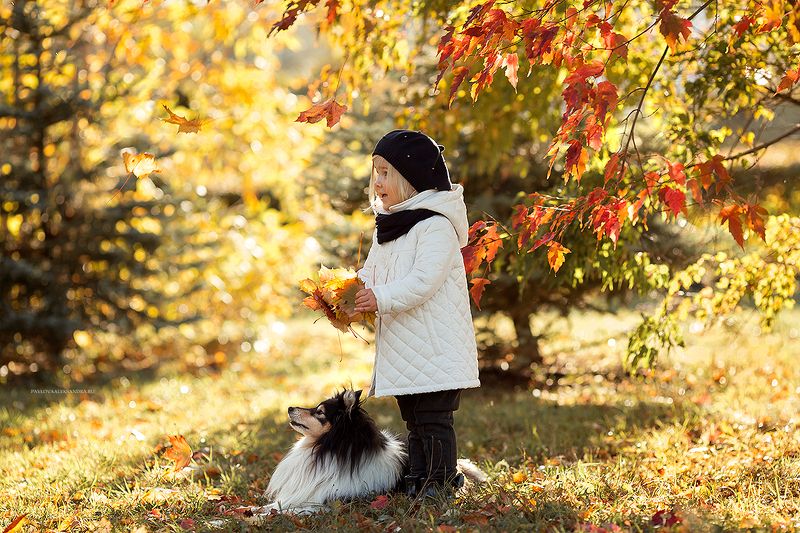 осеньphoto preview