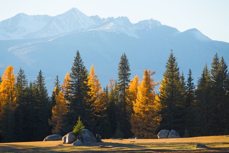 Алтай, горы, россия Неизведанный Алтай. Долина Аргутаphoto preview