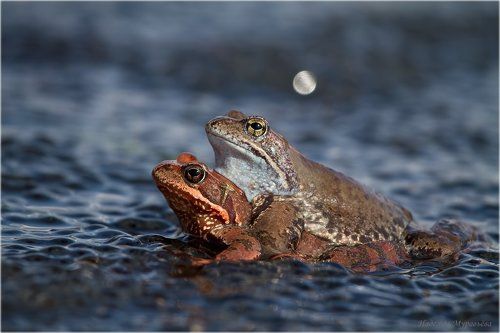Романтическая встреча