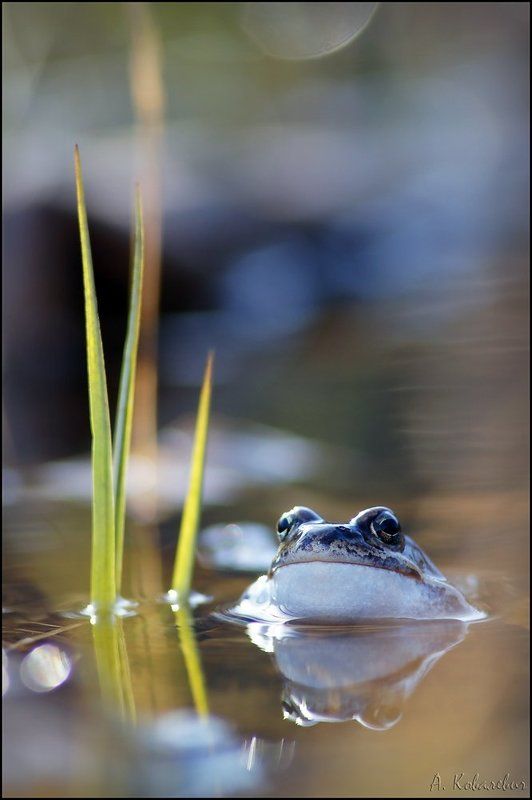 Без заботphoto preview