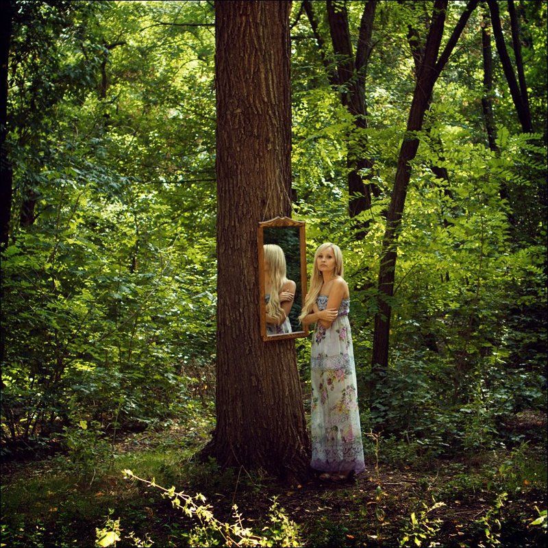 in the world of reflectionsphoto preview