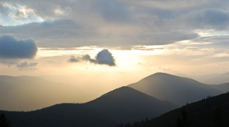 карпати Ліси Ґорґан / Forests of Gorganyphoto preview