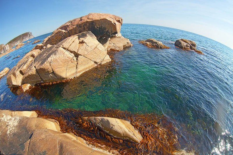 Тернейphoto preview