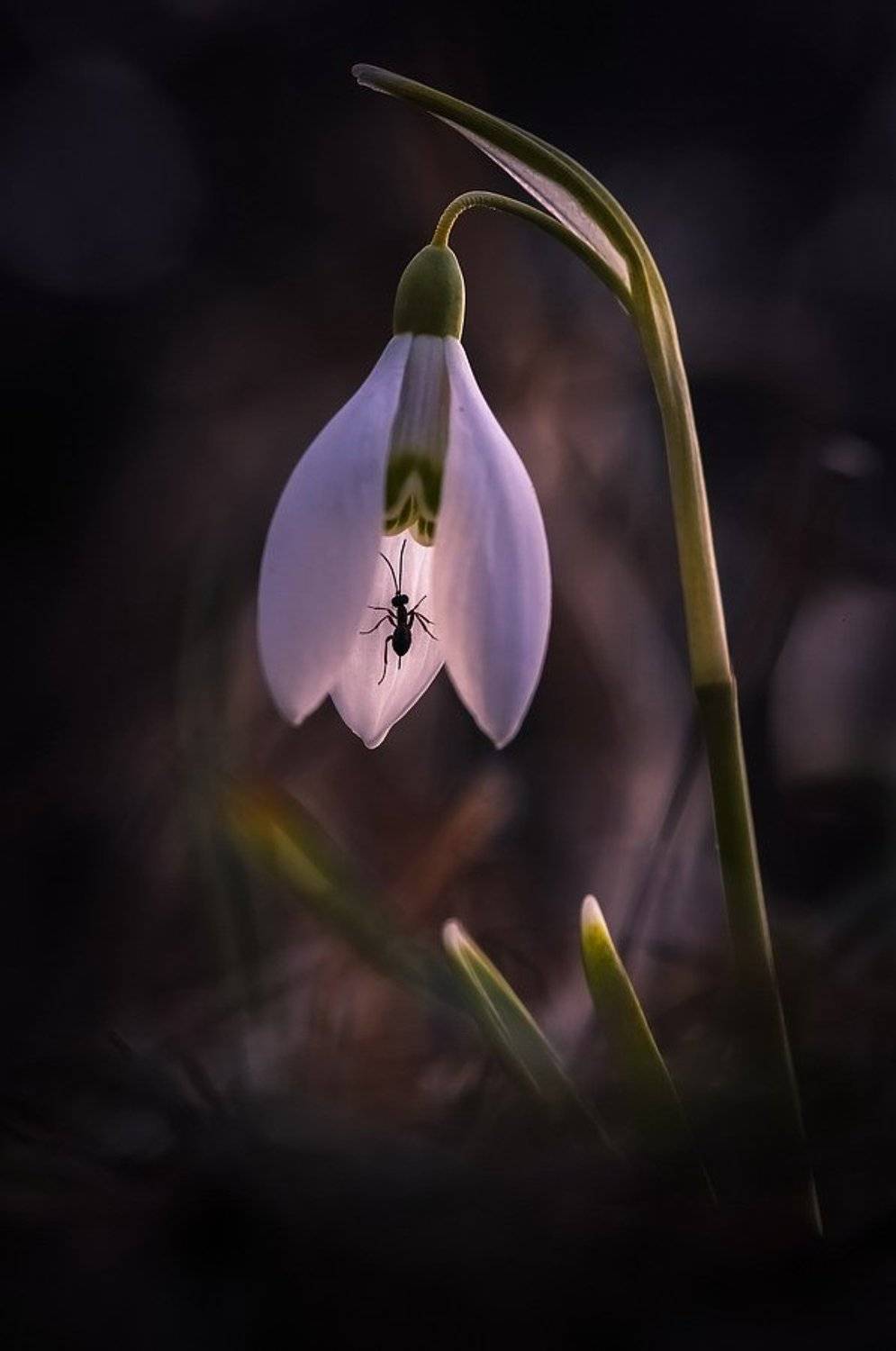 , Вячеслав Мищенко