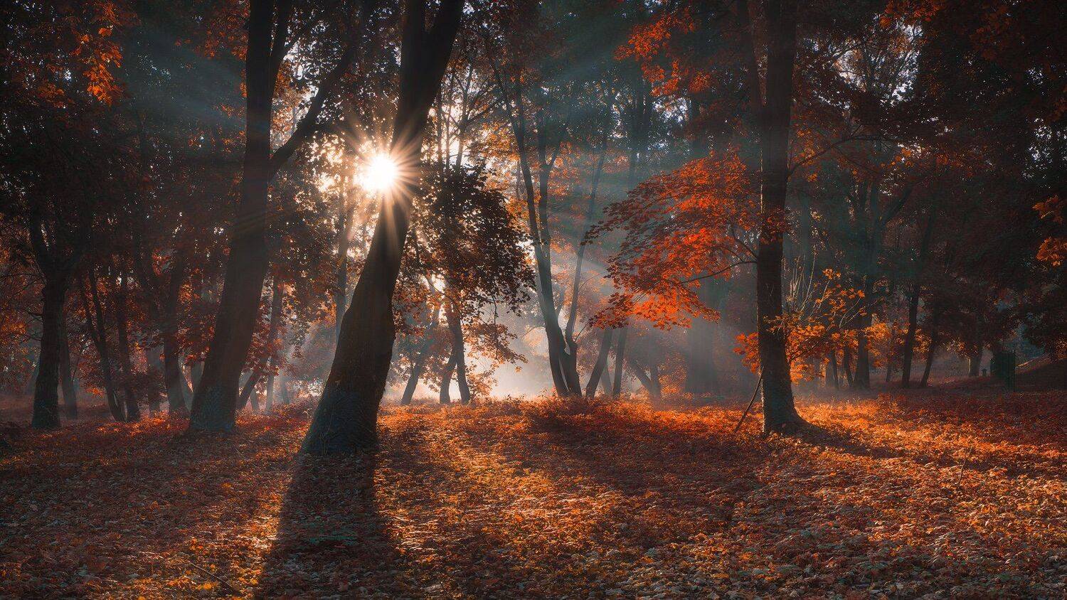 , Bartłomiej Kończak