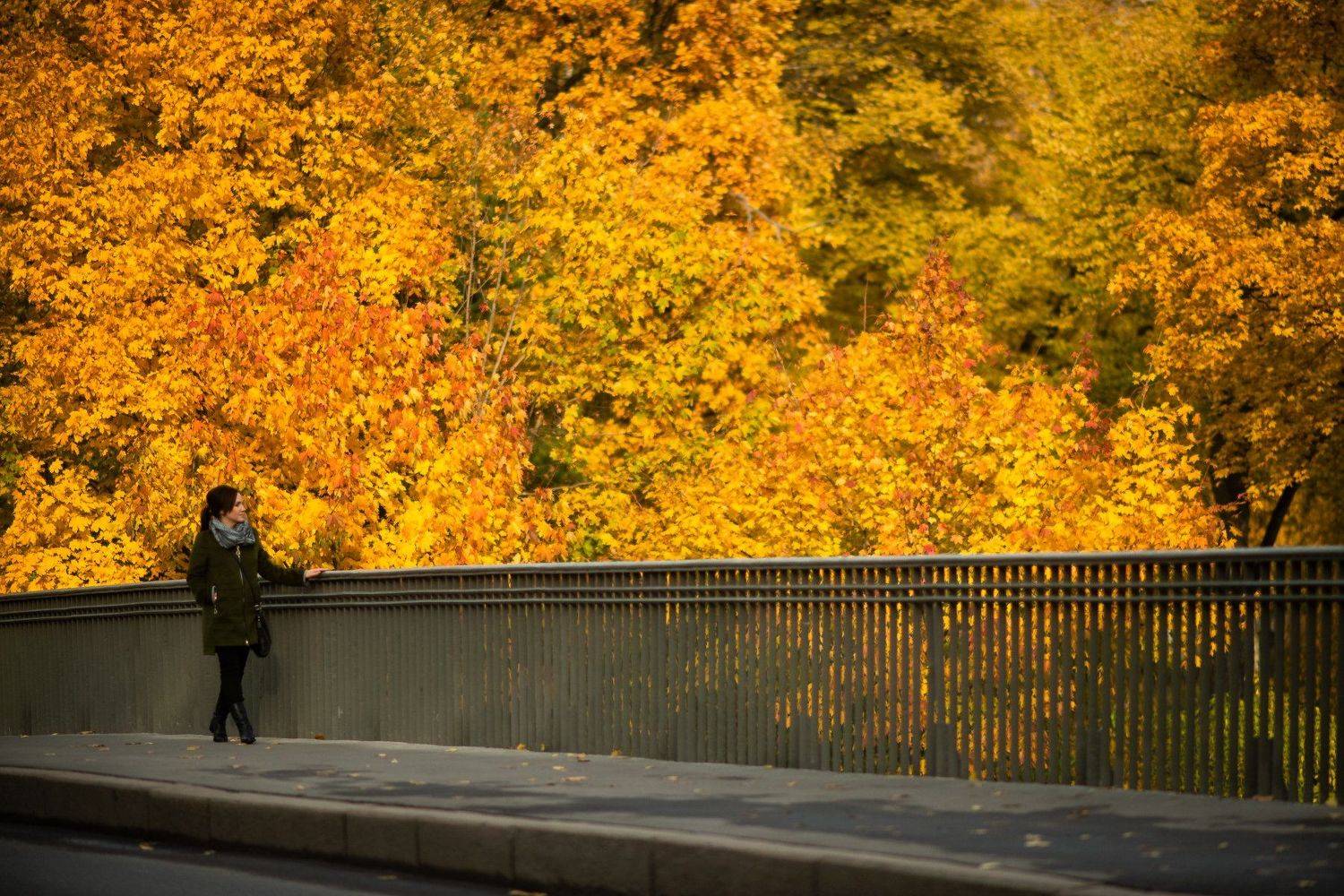 осень, санктпетербург, Виктория Разина