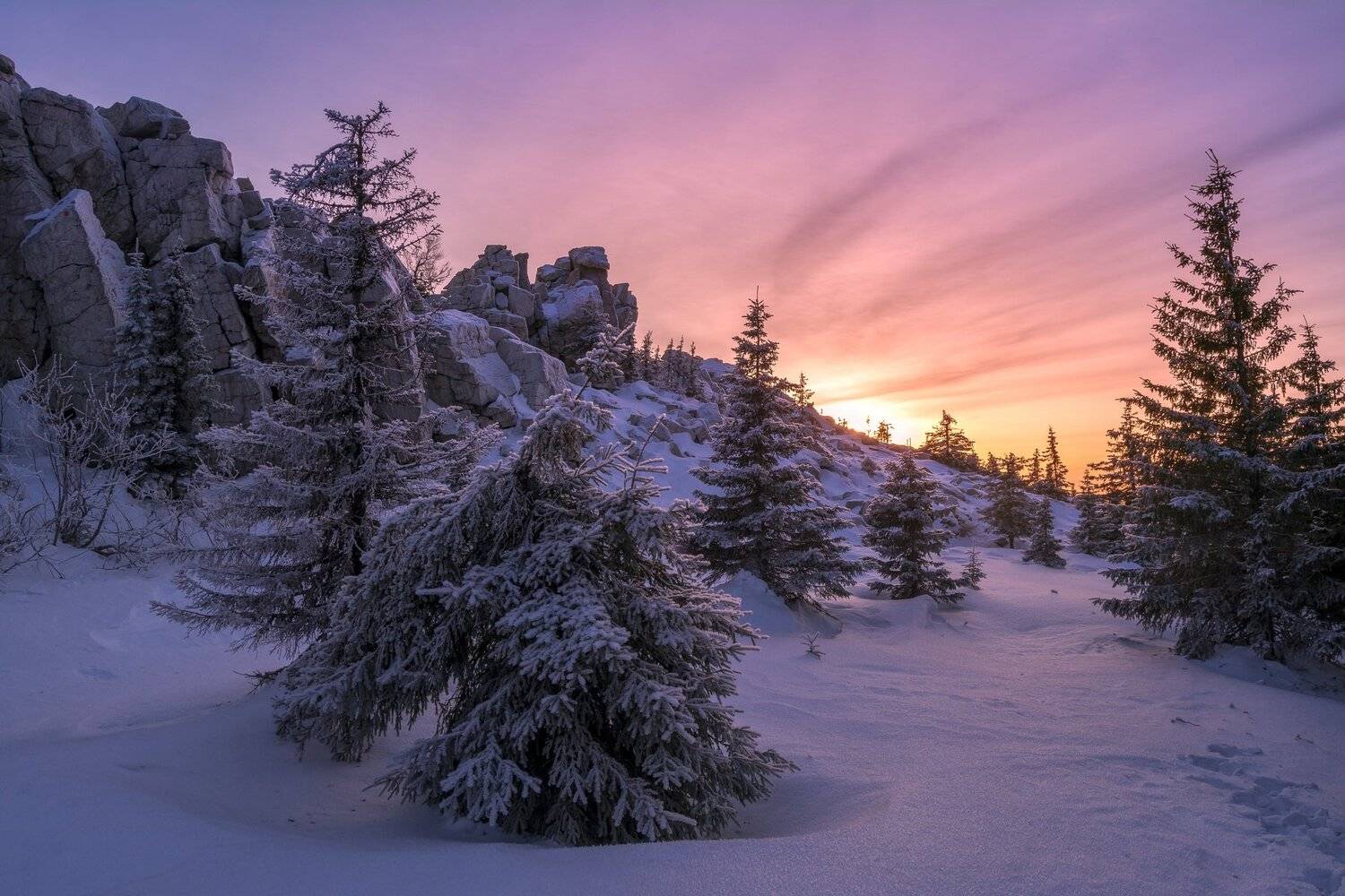 , Андрей Шарапов