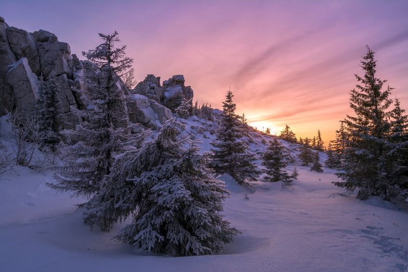 *******photo preview