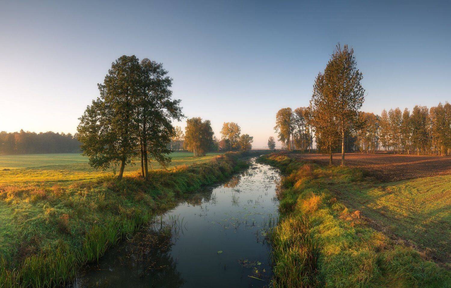 Автор: Bartłomiej Kończak , Bartłomiej Kończak