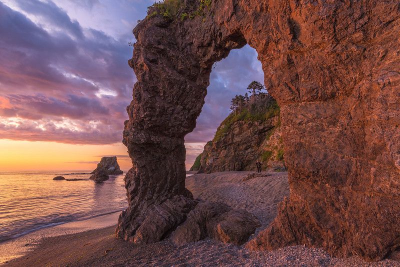 сахалин Нога сахалинского тролляphoto preview