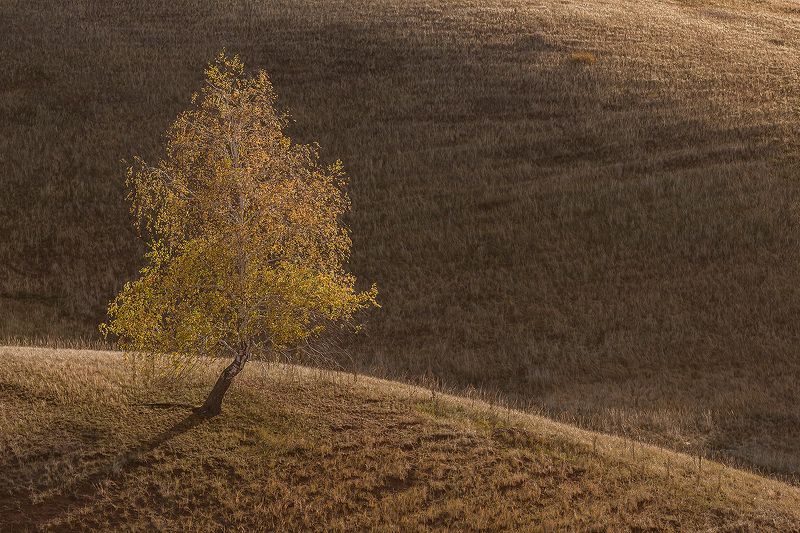 Золотая осеньphoto preview