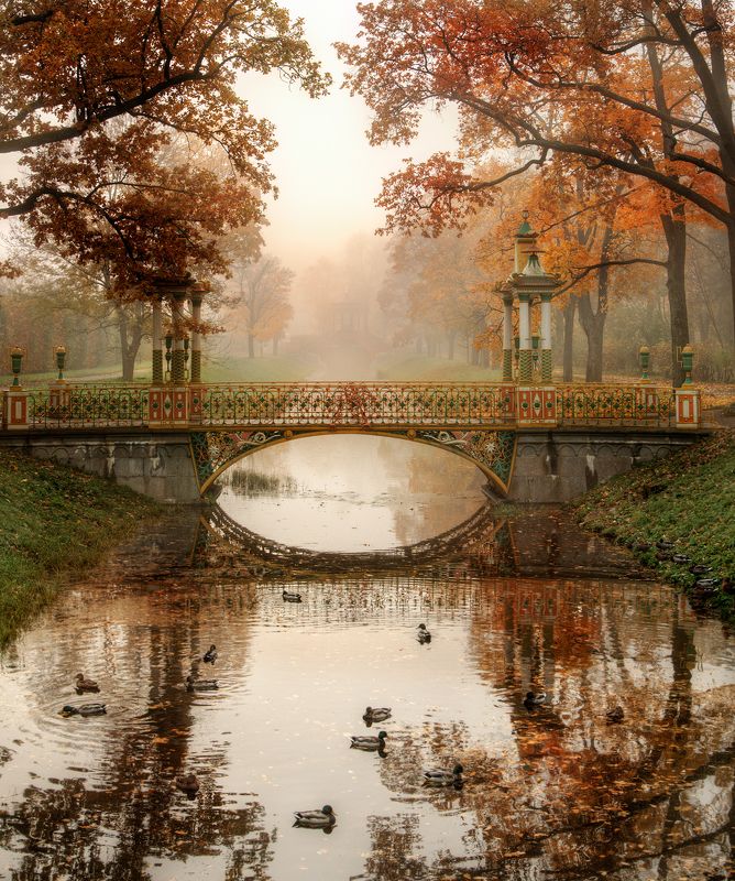 утро в паркеphoto preview