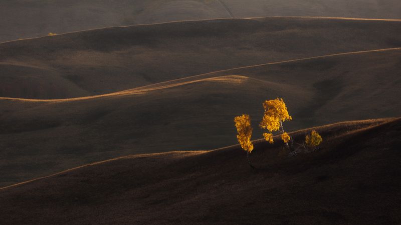 Дуэтphoto preview