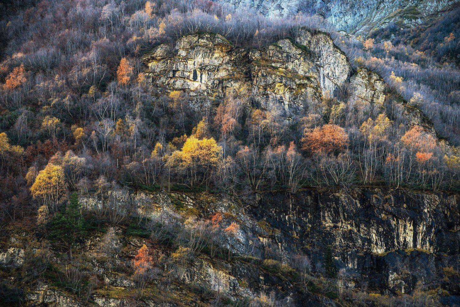 Colors.. Автор: Егор Бугримов colors autumn forest mountains nature природа пейзаж осень лес горы landscape, Егор Бугримов