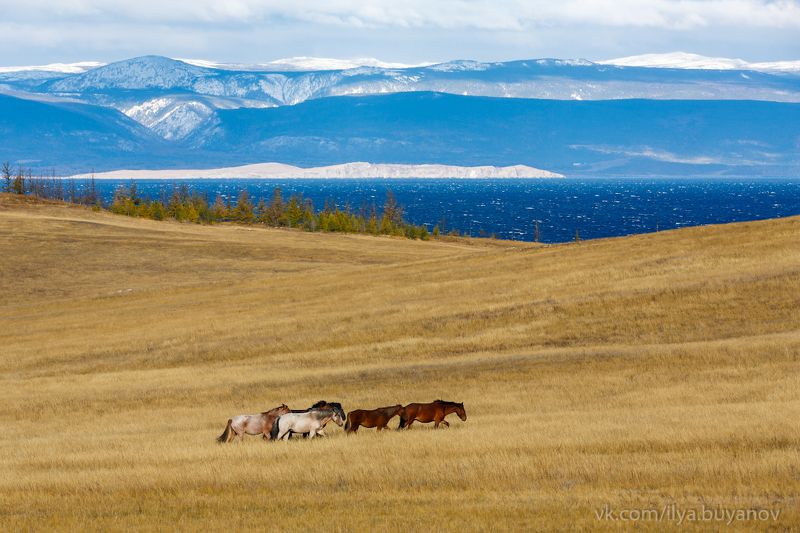 ольхон photo preview