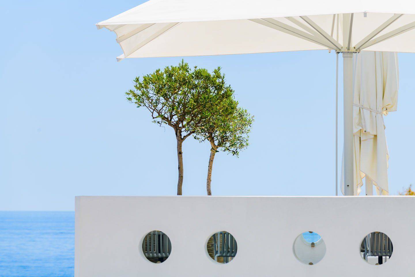 , Александр Константинов